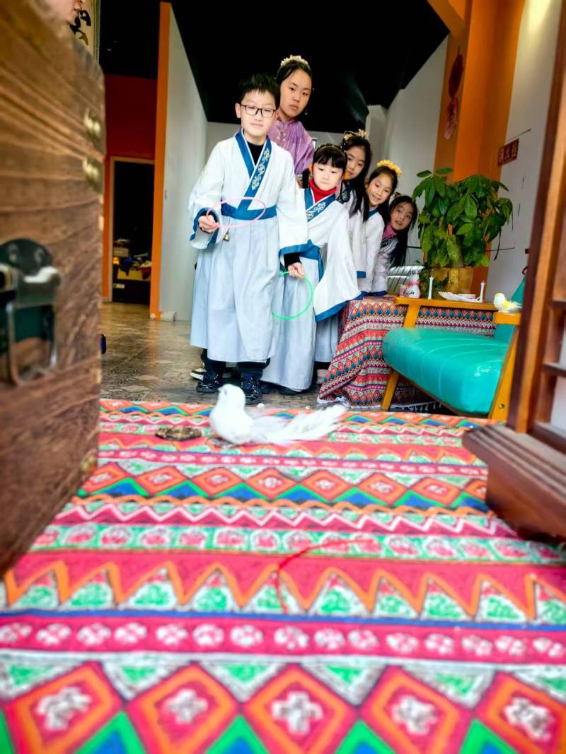 九龙坡区文旅项目策划